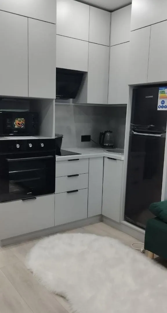 Flat Apartment Nur-Sultan   Nur-Sultan (Astana)